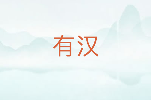有汉