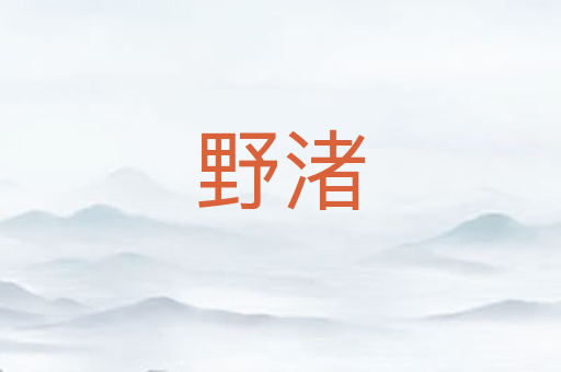 野渚