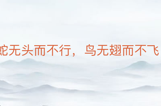 蛇无头而不行,鸟无翅而不飞