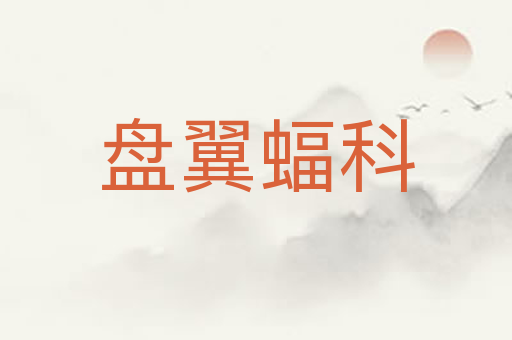 盘翼蝠科