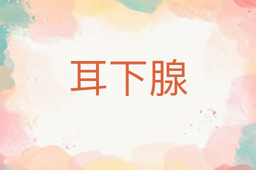 耳下腺