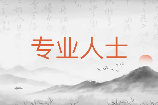 专业人士
