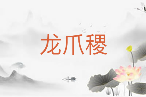 龙爪稷