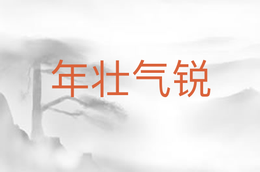 年壮气锐
