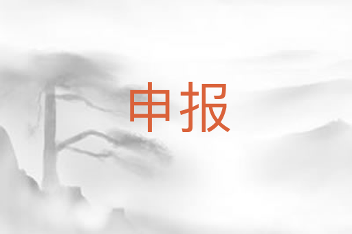 申报