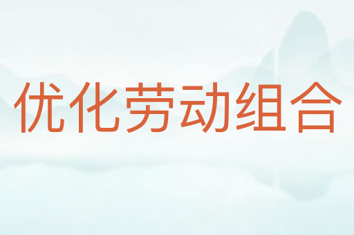 优化劳动组合