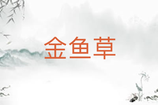 金鱼草