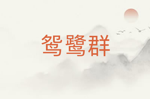 鸳鹭群