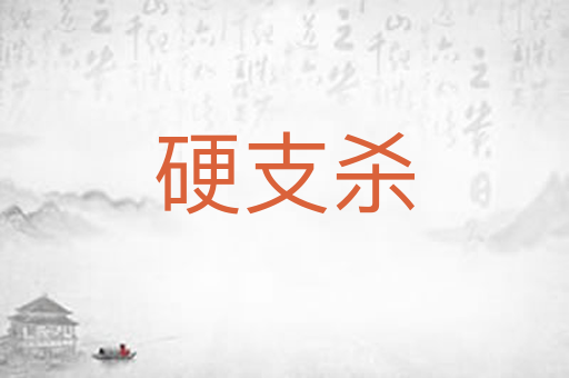 硬支杀