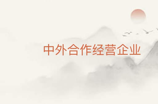 中外合作经营企业