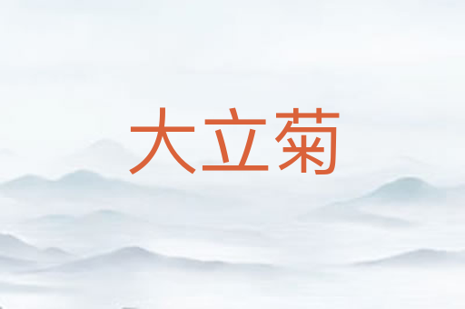 大立菊