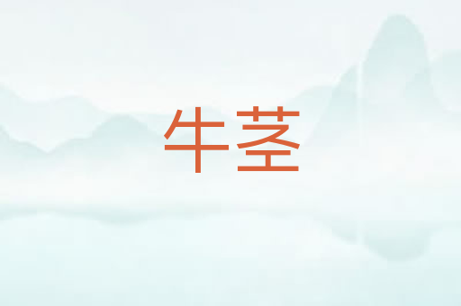牛茎