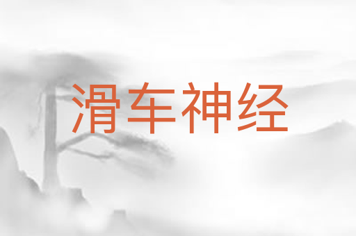 滑车神经
