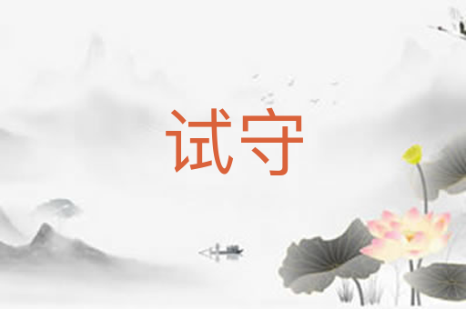 试守