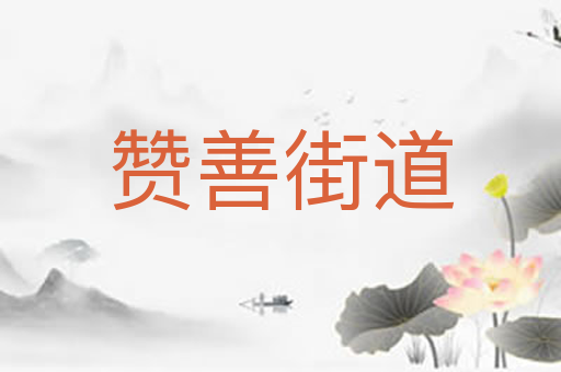 赞善街道
