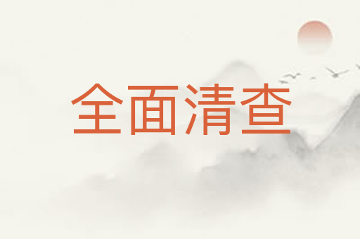 全面清查