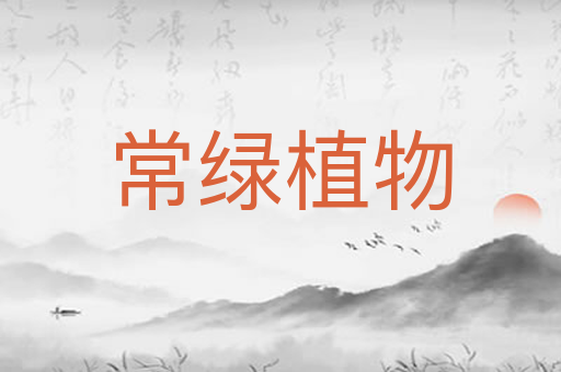 常绿植物