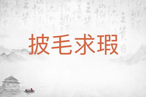 披毛求瑕
