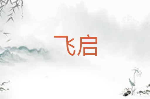 飞启