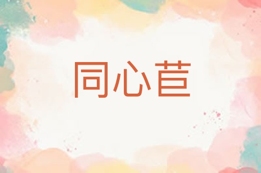同心苣