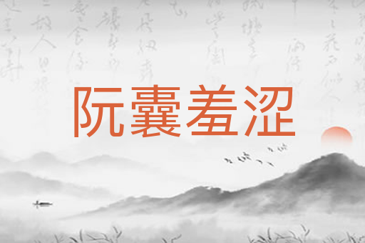 阮囊羞涩