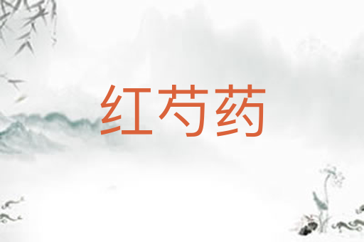 红芍药