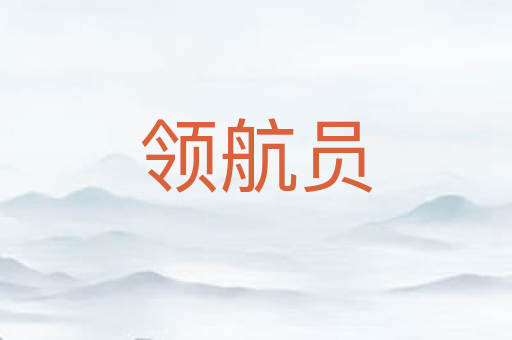 领航员