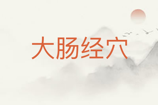 大肠经穴