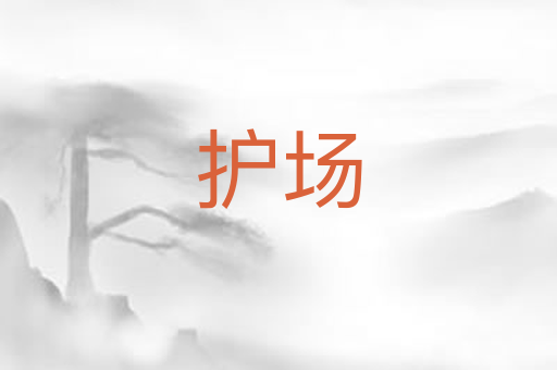 护场