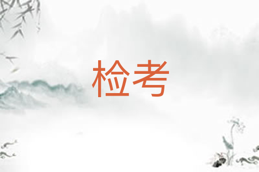 检考