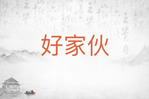 好家伙