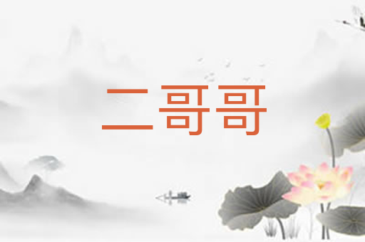 二哥哥