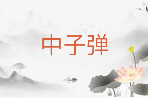 中子弹