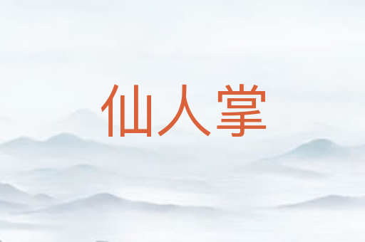 仙人掌