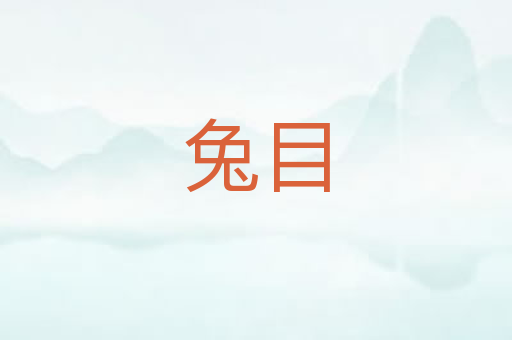 兔目