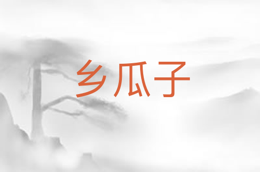 乡瓜子