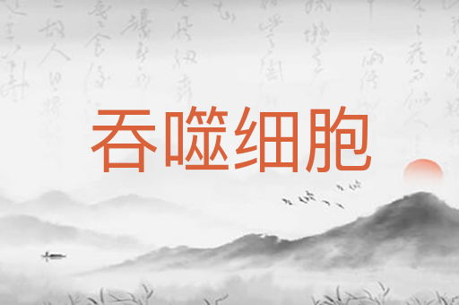 吞噬细胞