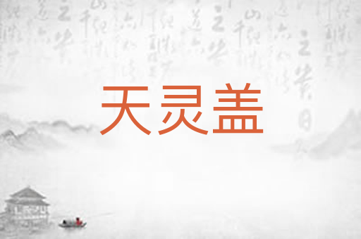 天灵盖