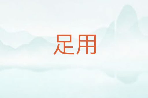 足用