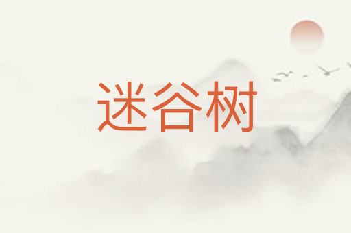 迷谷树