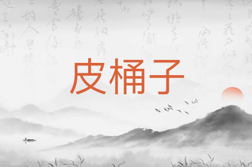 皮桶子