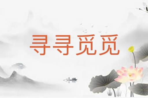 寻寻觅觅