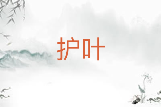 护叶