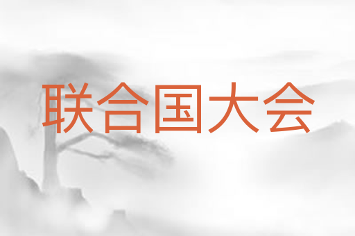 联合国大会