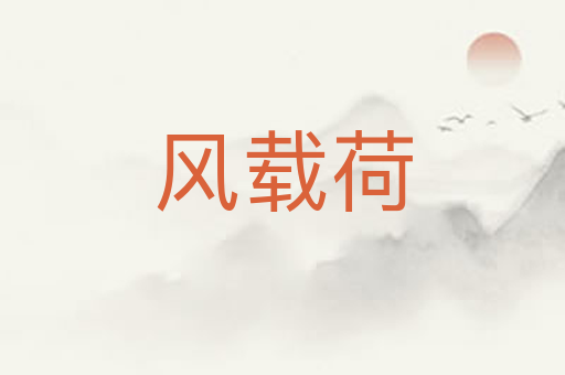 风载荷