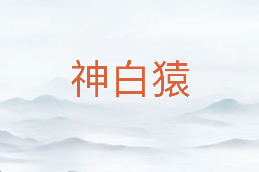 神白猿