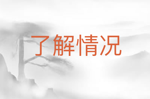 了解情况