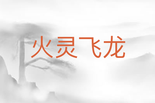 火灵飞龙