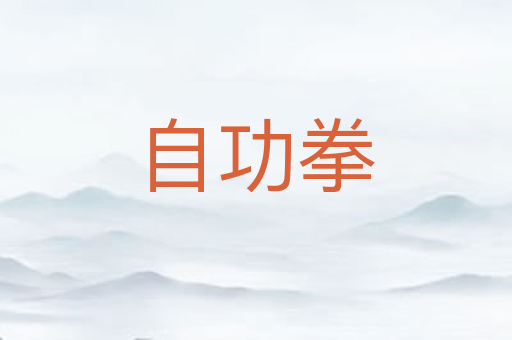 自功拳