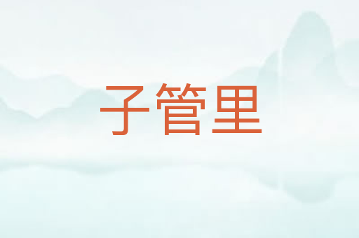 子管里